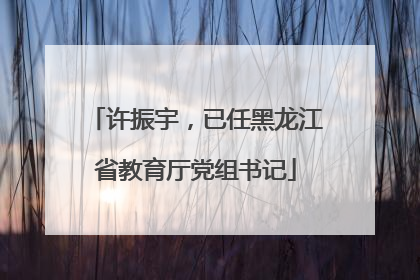 许振宇，已任黑龙江省教育厅党组书记
