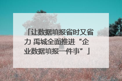 让数据填报省时又省力 禹城全面推进“企业数据填报一件事”