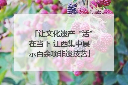 让文化遗产“活”在当下 江西集中展示百余项非遗技艺