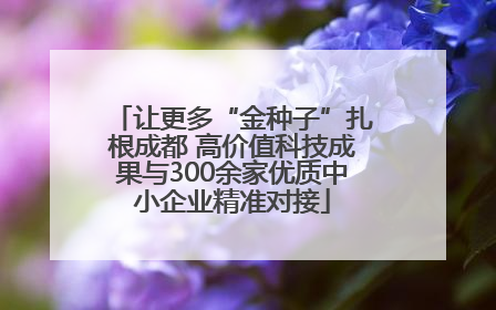 让更多“金种子”扎根成都 高价值科技成果与300余家优质中小企业精准对接