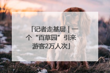 记者走基层｜一个“百草园”引来游客2万人次