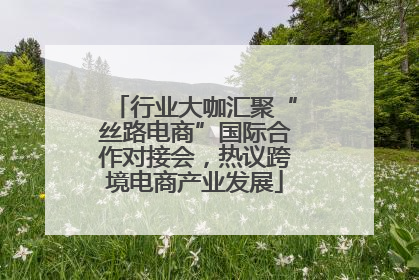行业大咖汇聚“丝路电商”国际合作对接会，热议跨境电商产业发展