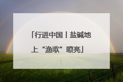 行进中国丨盐碱地上“渔歌”嘹亮