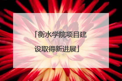衡水学院项目建设取得新进展