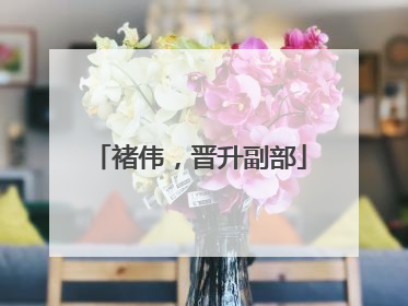 褚伟，晋升副部