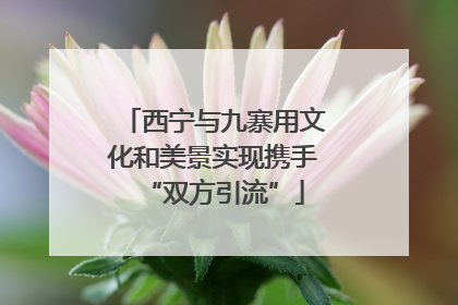 西宁与九寨用文化和美景实现携手“双方引流”