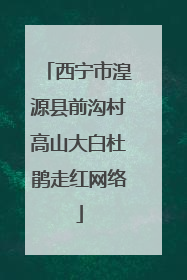 西宁市湟源县前沟村高山大白杜鹃走红网络
