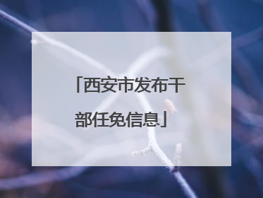 西安市发布干部任免信息