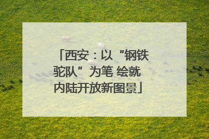 西安：以“钢铁驼队”为笔 绘就内陆开放新图景