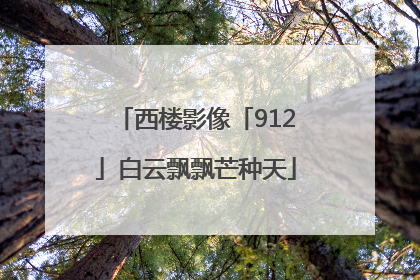 西楼影像「912」白云飘飘芒种天