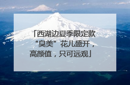 西湖边夏季限定款“臭美”花儿盛开，高颜值，只可远观