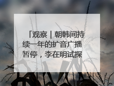 观察｜朝韩间持续一年的扩音广播暂停，李在明试探性将球踢向朝鲜