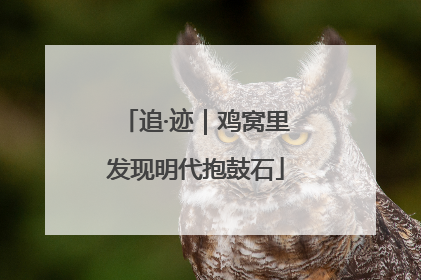 追·迹｜鸡窝里发现明代抱鼓石
