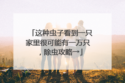 这种虫子看到一只家里很可能有一万只，除虫攻略→