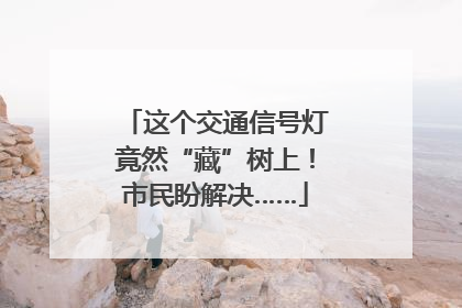 这个交通信号灯竟然“藏”树上！市民盼解决……