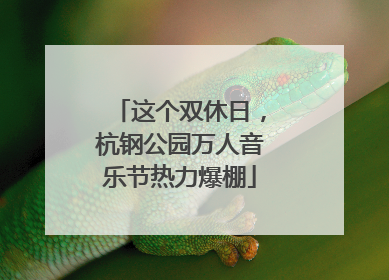 这个双休日，杭钢公园万人音乐节热力爆棚