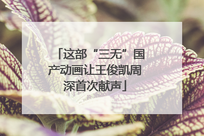 这部“三无”国产动画让王俊凯周深首次献声