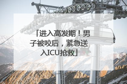 进入高发期！男子被咬后，紧急送入ICU抢救