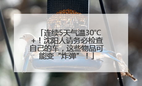 连续5天气温30℃+！沈阳人请务必检查自己的车，这些物品可能变“炸弹”！
