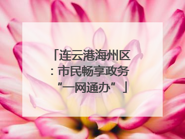 连云港海州区：市民畅享政务“一网通办”