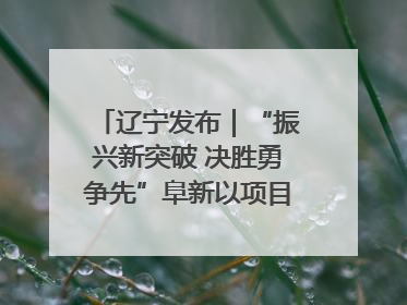 辽宁发布｜“振兴新突破 决胜勇争先”阜新以项目攻坚破解发展瓶颈 经济发展实现良好开局