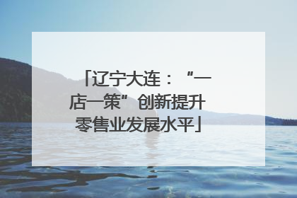 辽宁大连：“一店一策”创新提升零售业发展水平