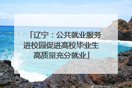 辽宁：公共就业服务进校园促进高校毕业生高质量充分就业