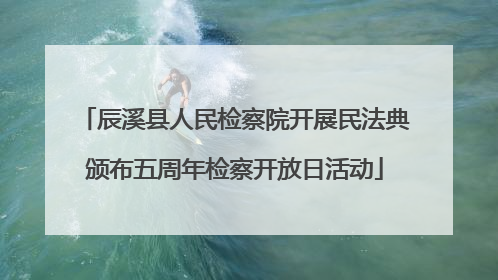 辰溪县人民检察院开展民法典颁布五周年检察开放日活动