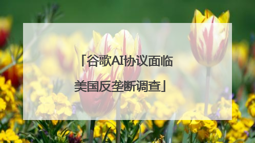 谷歌AI协议面临美国反垄断调查