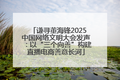 谦寻董海锋2025中国网络文明大会发声：以“三个向善”构建直播电商善意长河