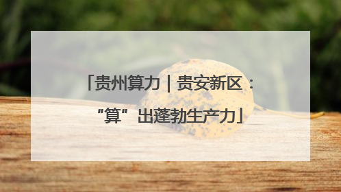 贵州算力｜贵安新区：“算”出蓬勃生产力