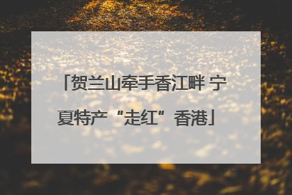 贺兰山牵手香江畔 宁夏特产“走红”香港