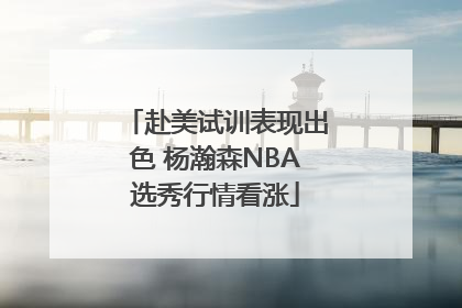 赴美试训表现出色 杨瀚森NBA选秀行情看涨