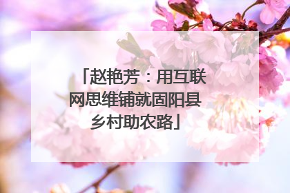 赵艳芳：用互联网思维铺就固阳县乡村助农路