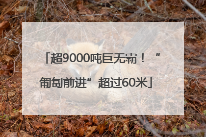 超9000吨巨无霸！“匍匐前进”超过60米