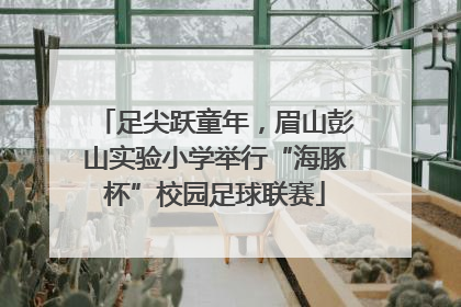 足尖跃童年，眉山彭山实验小学举行“海豚杯”校园足球联赛
