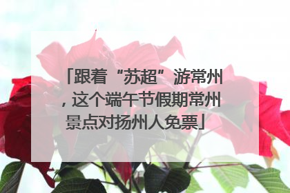 跟着“苏超”游常州，这个端午节假期常州景点对扬州人免票
