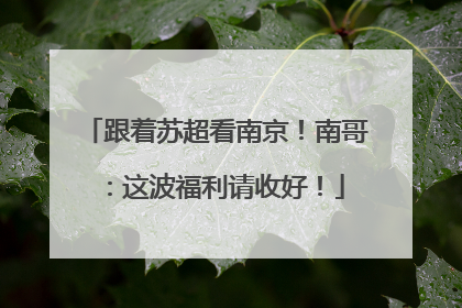跟着苏超看南京！南哥：这波福利请收好！