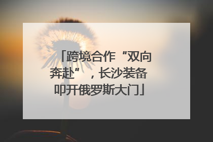 跨境合作“双向奔赴”，长沙装备叩开俄罗斯大门
