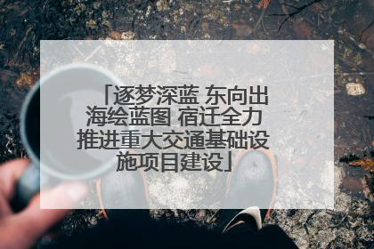 逐梦深蓝 东向出海绘蓝图 宿迁全力推进重大交通基础设施项目建设