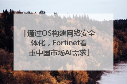通过OS构建网络安全一体化，Fortinet看重中国市场AI需求