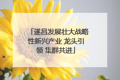 遂昌发展壮大战略性新兴产业 龙头引领 集群共进