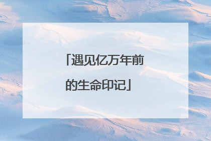 遇见亿万年前的生命印记