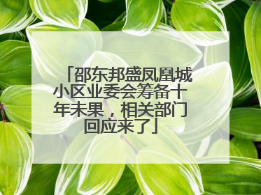邵东邦盛凤凰城小区业委会筹备十年未果，相关部门回应来了