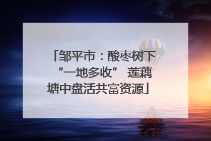 邹平市：酸枣树下“一地多收” 莲藕塘中盘活共富资源