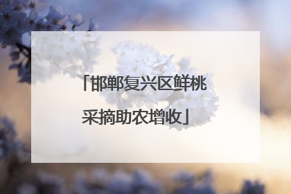邯郸复兴区鲜桃采摘助农增收