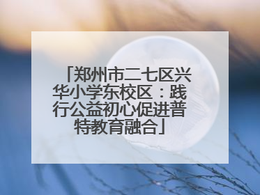 郑州市二七区兴华小学东校区：践行公益初心促进普特教育融合