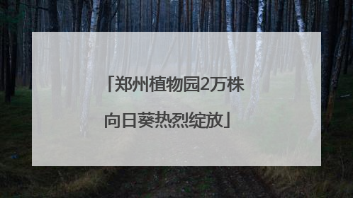 郑州植物园2万株向日葵热烈绽放
