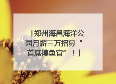 郑州海昌海洋公园月薪三万招募“首席摸鱼官”！