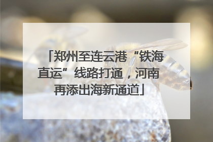郑州至连云港“铁海直运”线路打通，河南再添出海新通道
